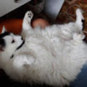 Meet your Posher, Suzanne